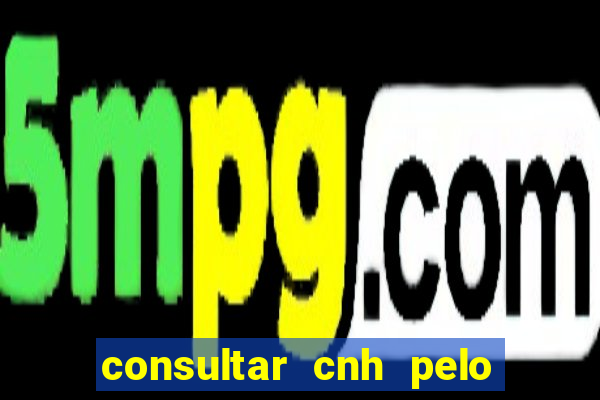 consultar cnh pelo cpf sp